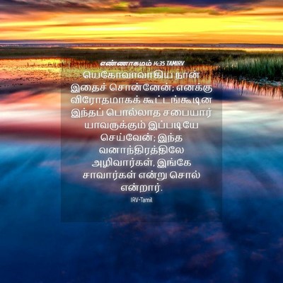 Picture 04 - எண்ணாகமம் 14:35 TAMIRV - யெகோவாவாகிய நான் - Bible Verse Picture