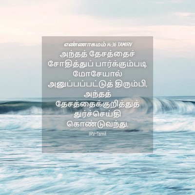 Picture 04 - எண்ணாகமம் 14:36 TAMIRV - அந்தத் தேசத்தைச் - Bible Verse Picture