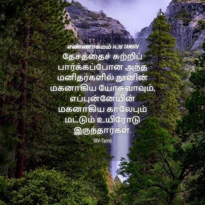 Picture 04 - எண்ணாகமம் 14:38 TAMIRV - தேசத்தைச் - Bible Verse Picture