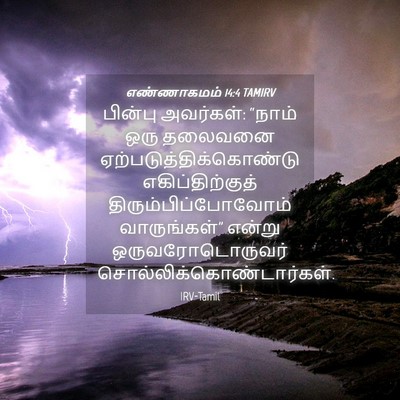 Picture 04 - எண்ணாகமம் 14:4 TAMIRV - பின்பு அவர்கள்: - Bible Verse Picture