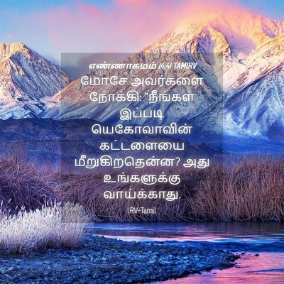 Picture 04 - எண்ணாகமம் 14:41 TAMIRV - மோசே அவர்களை - Bible Verse Picture