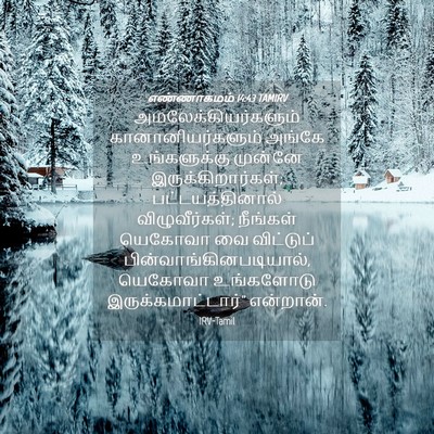 Picture 04 - எண்ணாகமம் 14:43 TAMIRV - அமலேக்கியர்களும் - Bible Verse Picture