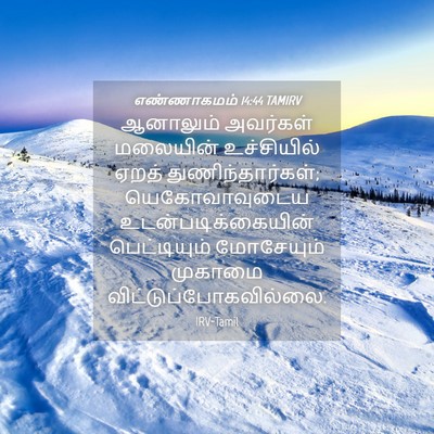 Picture 04 - எண்ணாகமம் 14:44 TAMIRV - ஆனாலும் அவர்கள் - Bible Verse Picture