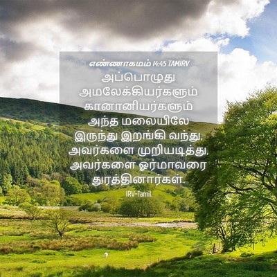 Picture 04 - எண்ணாகமம் 14:45 TAMIRV - அப்பொழுது - Bible Verse Picture
