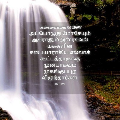 Picture 04 - எண்ணாகமம் 14:5 TAMIRV - அப்பொழுது - Bible Verse Picture