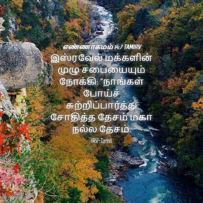 Picture 04 - எண்ணாகமம் 14:7 TAMIRV - இஸ்ரவேல் மக்களின் - Bible Verse Picture