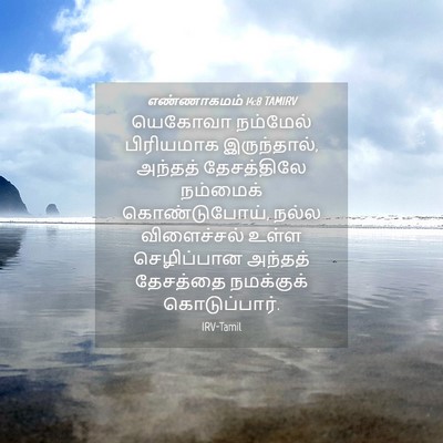 Picture 04 - எண்ணாகமம் 14:8 TAMIRV - யெகோவா நம்மேல் - Bible Verse Picture