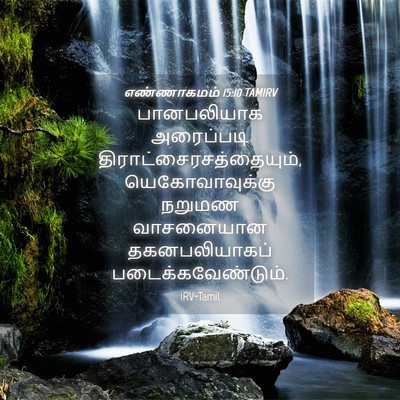 Picture 04 - எண்ணாகமம் 15:10 TAMIRV - பானபலியாக - Bible Verse Picture