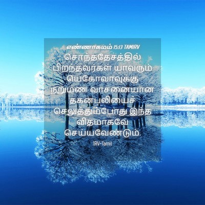 Picture 04 - எண்ணாகமம் 15:13 TAMIRV - சொந்ததேசத்தில் - Bible Verse Picture