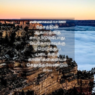 Picture 04 - எண்ணாகமம் 15:19 TAMIRV - தேசத்தின் - Bible Verse Picture