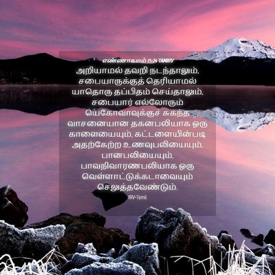 Picture 04 - எண்ணாகமம் 15:24 TAMIRV - அறியாமல் தவறி - Bible Verse Picture