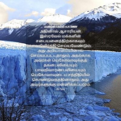 Picture 04 - எண்ணாகமம் 15:25 TAMIRV - அதினால் ஆசாரியன் - Bible Verse Picture