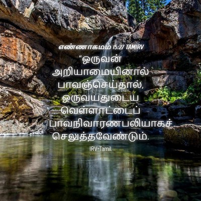 Picture 04 - எண்ணாகமம் 15:27 TAMIRV - “ஒருவன் - Bible Verse Picture