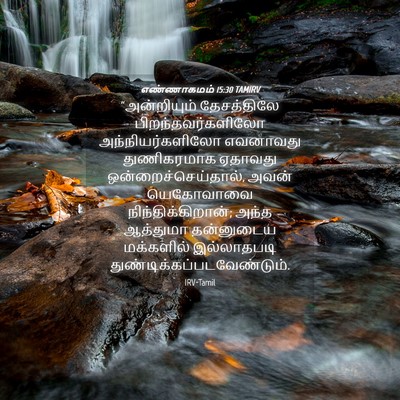 Picture 04 - எண்ணாகமம் 15:30 TAMIRV - “அன்றியும் - Bible Verse Picture