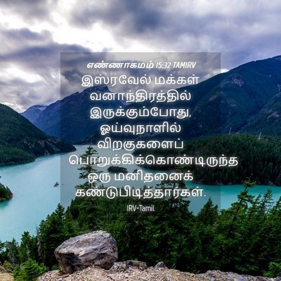 Picture 04 - எண்ணாகமம் 15:32 TAMIRV - இஸ்ரவேல் மக்கள் - Bible Verse Picture