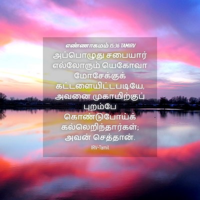 Picture 04 - எண்ணாகமம் 15:36 TAMIRV - அப்பொழுது சபையார் - Bible Verse Picture