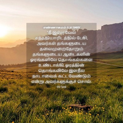 Picture 04 - எண்ணாகமம் 15:38 TAMIRV - “நீ இஸ்ரவேல் - Bible Verse Picture