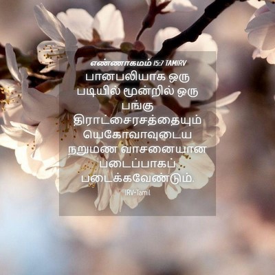 Picture 04 - எண்ணாகமம் 15:7 TAMIRV - பானபலியாக ஒரு - Bible Verse Picture