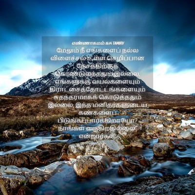Picture 04 - எண்ணாகமம் 16:14 TAMIRV - மேலும் நீ - Bible Verse Picture