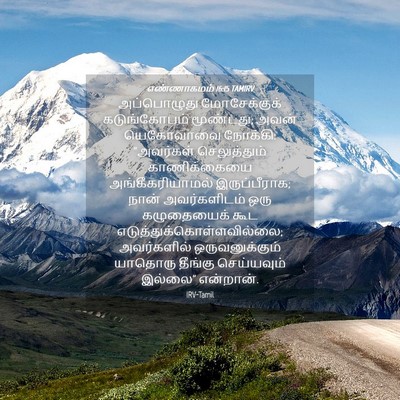 Picture 04 - எண்ணாகமம் 16:15 TAMIRV - அப்பொழுது - Bible Verse Picture