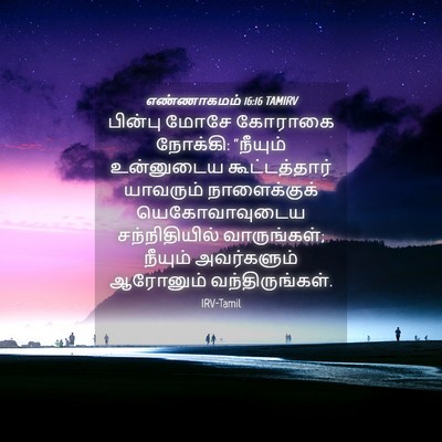 Picture 04 - எண்ணாகமம் 16:16 TAMIRV - பின்பு மோசே - Bible Verse Picture