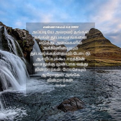 Picture 04 - எண்ணாகமம் 16:18 TAMIRV - அப்படியே அவரவர் - Bible Verse Picture