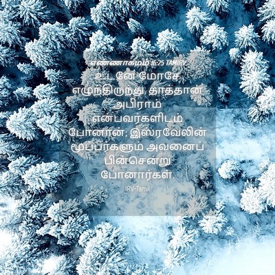 Picture 04 - எண்ணாகமம் 16:25 TAMIRV - உடனே மோசே - Bible Verse Picture