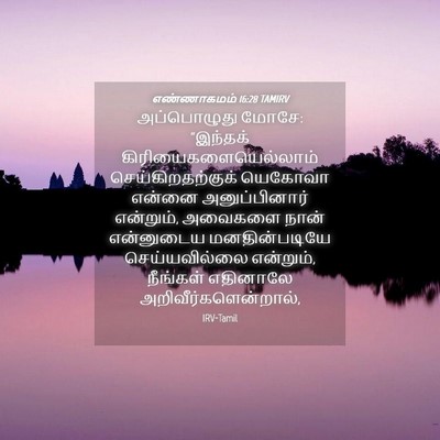 Picture 04 - எண்ணாகமம் 16:28 TAMIRV - அப்பொழுது மோசே: - Bible Verse Picture