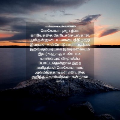 Picture 04 - எண்ணாகமம் 16:30 TAMIRV - யெகோவா ஒரு புதிய - Bible Verse Picture