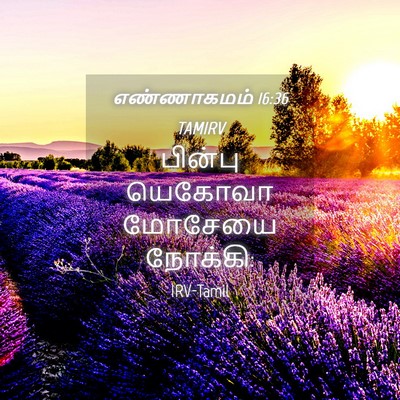 Picture 04 - எண்ணாகமம் 16:36 TAMIRV - பின்பு யெகோவா - Bible Verse Picture