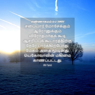 Picture 04 - எண்ணாகமம் 16:42 TAMIRV - சபையார் - Bible Verse Picture