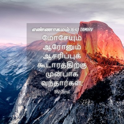 Picture 04 - எண்ணாகமம் 16:43 TAMIRV - மோசேயும் ஆரோனும் - Bible Verse Picture