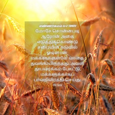 Picture 04 - எண்ணாகமம் 16:47 TAMIRV - மோசே சொன்னபடி - Bible Verse Picture