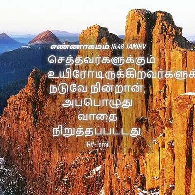 Picture 04 - எண்ணாகமம் 16:48 TAMIRV -  - Bible Verse Picture