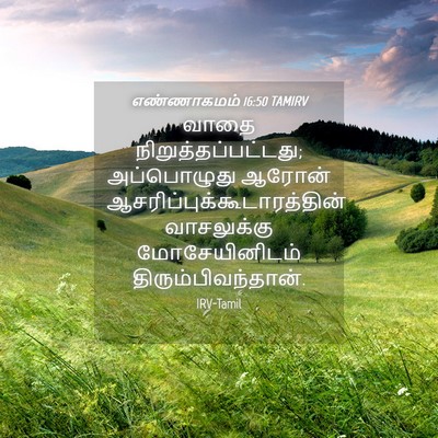 Picture 04 - எண்ணாகமம் 16:50 TAMIRV - வாதை - Bible Verse Picture