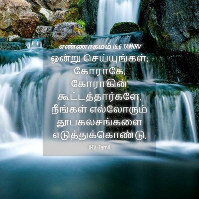 Picture 04 - எண்ணாகமம் 16:6 TAMIRV - ஒன்று - Bible Verse Picture