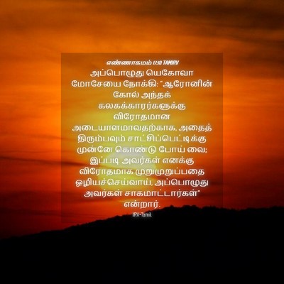 Picture 04 - எண்ணாகமம் 17:10 TAMIRV - அப்பொழுது யெகோவா - Bible Verse Picture