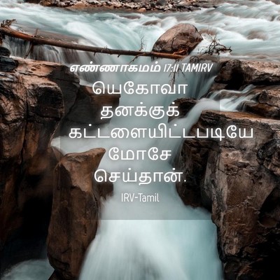 Picture 04 - எண்ணாகமம் 17:11 TAMIRV - யெகோவா தனக்குக் - Bible Verse Picture