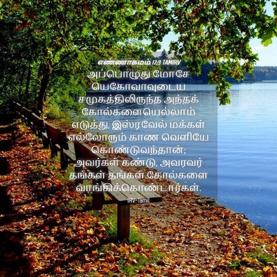 Picture 04 - எண்ணாகமம் 17:9 TAMIRV - அப்பொழுது மோசே - Bible Verse Picture