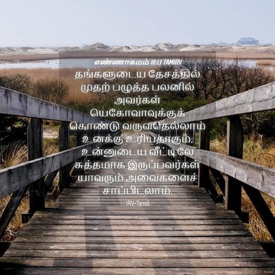 Picture 04 - எண்ணாகமம் 18:13 TAMIRV - தங்களுடைய - Bible Verse Picture