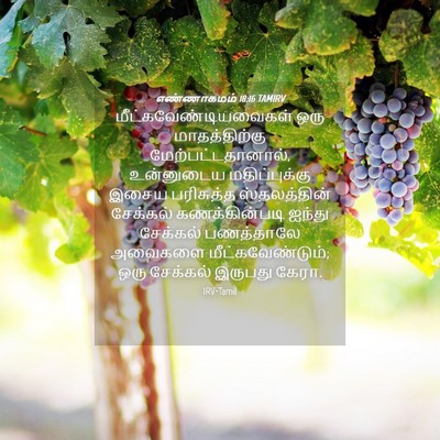 Picture 04 - எண்ணாகமம் 18:16 TAMIRV -  - Bible Verse Picture
