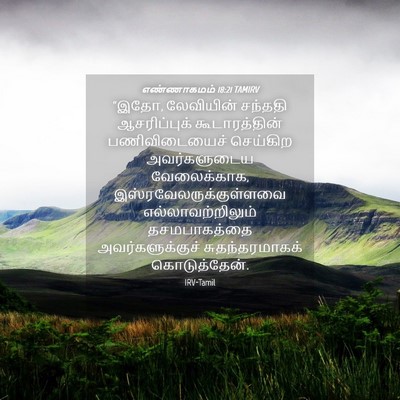 Picture 04 - எண்ணாகமம் 18:21 TAMIRV - “இதோ, லேவியின் - Bible Verse Picture