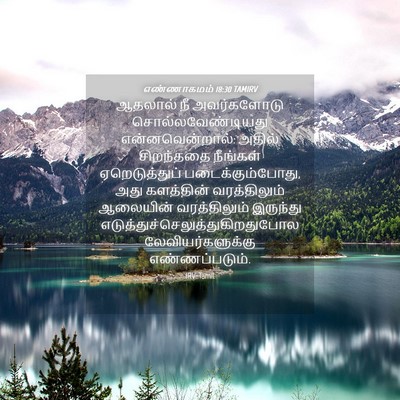 Picture 04 - எண்ணாகமம் 18:30 TAMIRV - ஆதலால் நீ - Bible Verse Picture