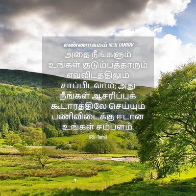 Picture 04 - எண்ணாகமம் 18:31 TAMIRV - அதை நீங்களும் - Bible Verse Picture