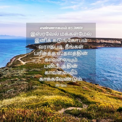 Picture 04 - எண்ணாகமம் 18:5 TAMIRV - இஸ்ரவேல் - Bible Verse Picture