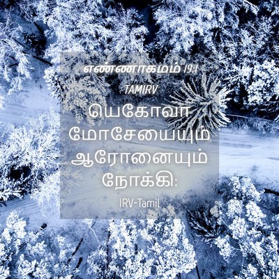 Picture 04 - எண்ணாகமம் 19:1 TAMIRV - யெகோவா மோசேயையும் - Bible Verse Picture