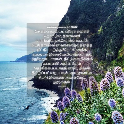 Picture 04 - எண்ணாகமம் 19:13 TAMIRV - செத்தவனுடைய - Bible Verse Picture
