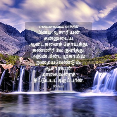 Picture 04 - எண்ணாகமம் 19:7 TAMIRV - பின்பு ஆசாரியன் - Bible Verse Picture