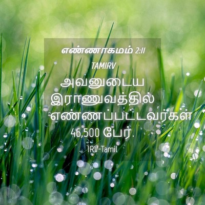 Picture 04 - எண்ணாகமம் 2:11 TAMIRV - அவனுடைய - Bible Verse Picture