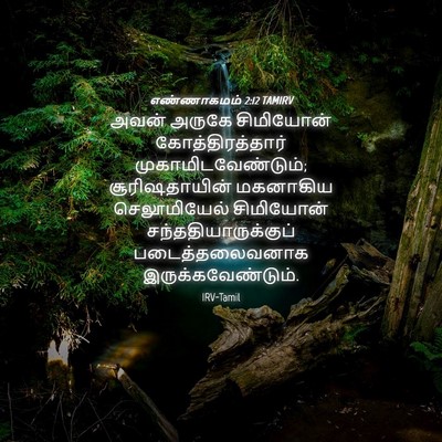 Picture 04 - எண்ணாகமம் 2:12 TAMIRV - அவன் அருகே - Bible Verse Picture